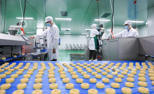 江西瑞昌 节日食品生产提速